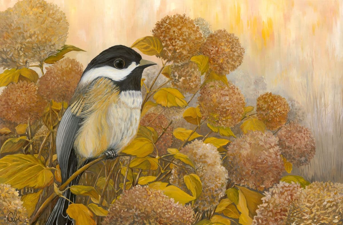 Fall Meditation