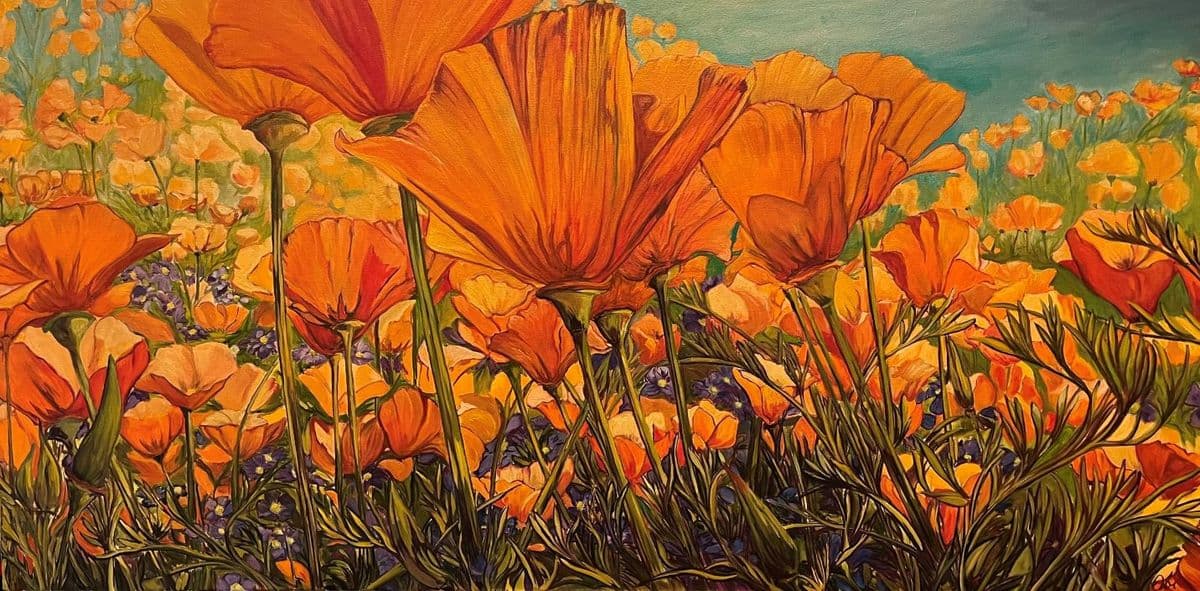 Orange Renaissance